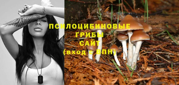 герыч Верея