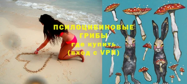 гашик Верхний Тагил