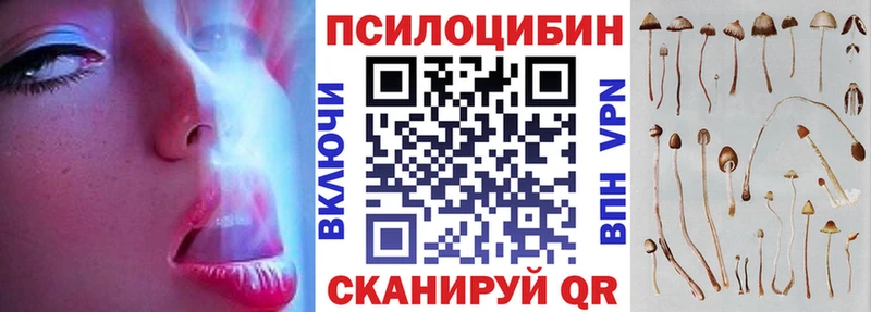 Купить где  Апатиты  Псилоцибиновые грибы Magic Shrooms 